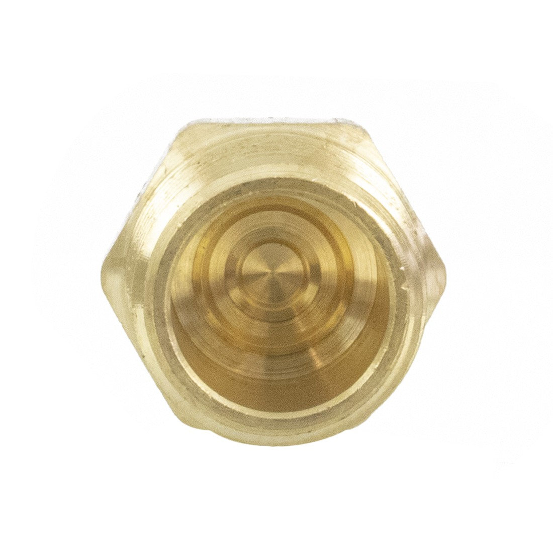 PWP Brass Fitting - Hex Plug 1/2 NPT Inner View