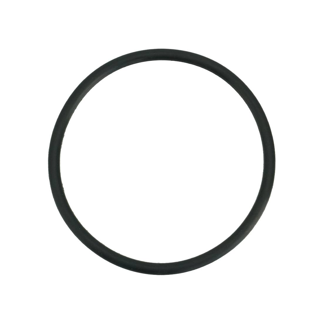 PWP Stainless Steel Housing O-Ring - Large Main View