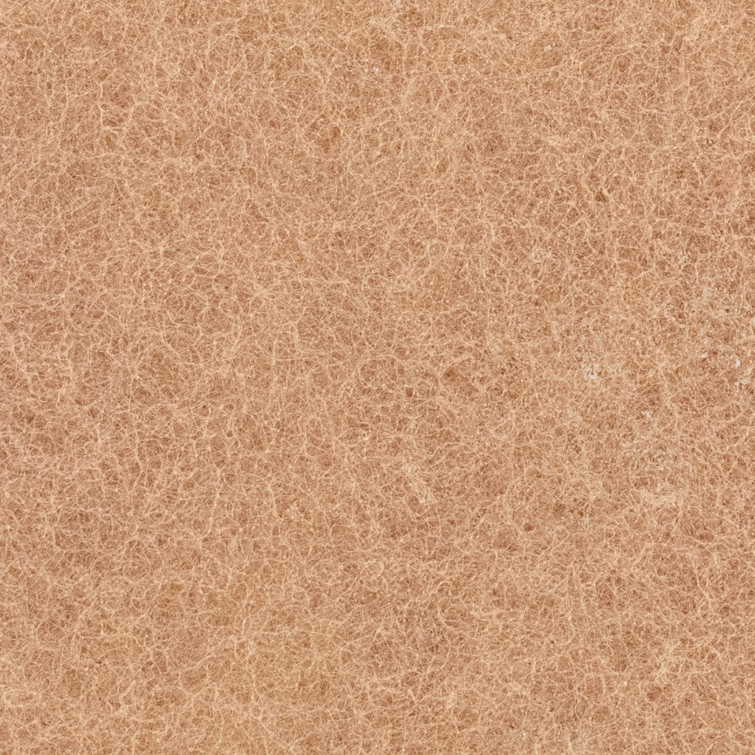 PWP Walnut Scrub Pad - 10 Pack Zoomed View