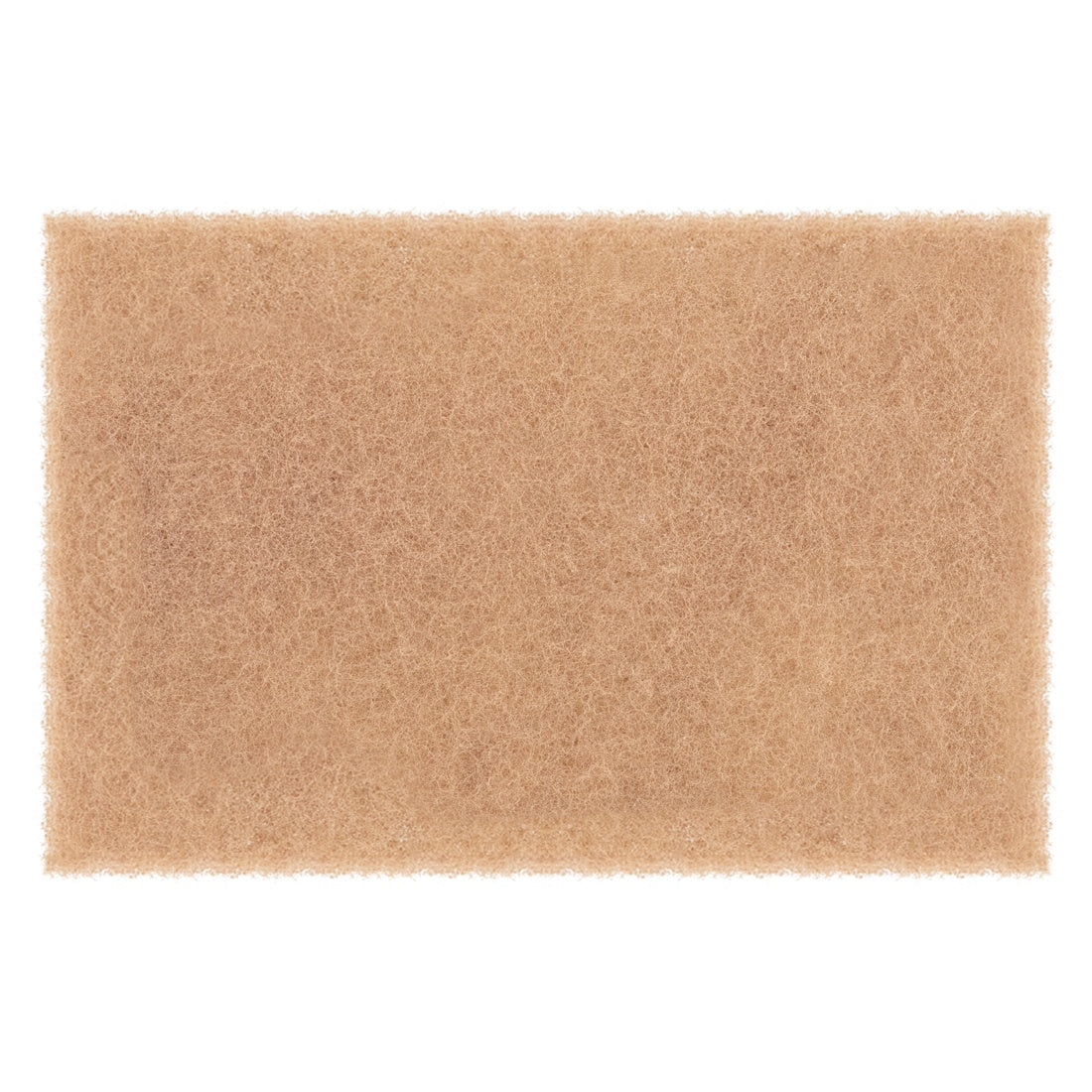 PWP Walnut Scrub Pad - 10 Pack Main View