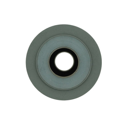 PWP Chloramine Filter - 10 Inch Top View